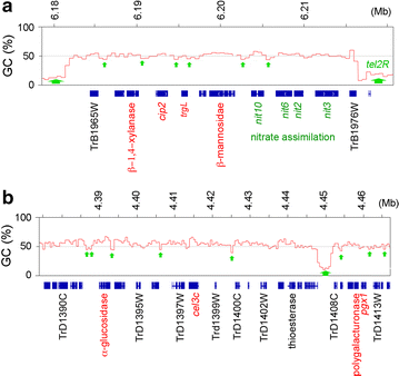 Fig. 7