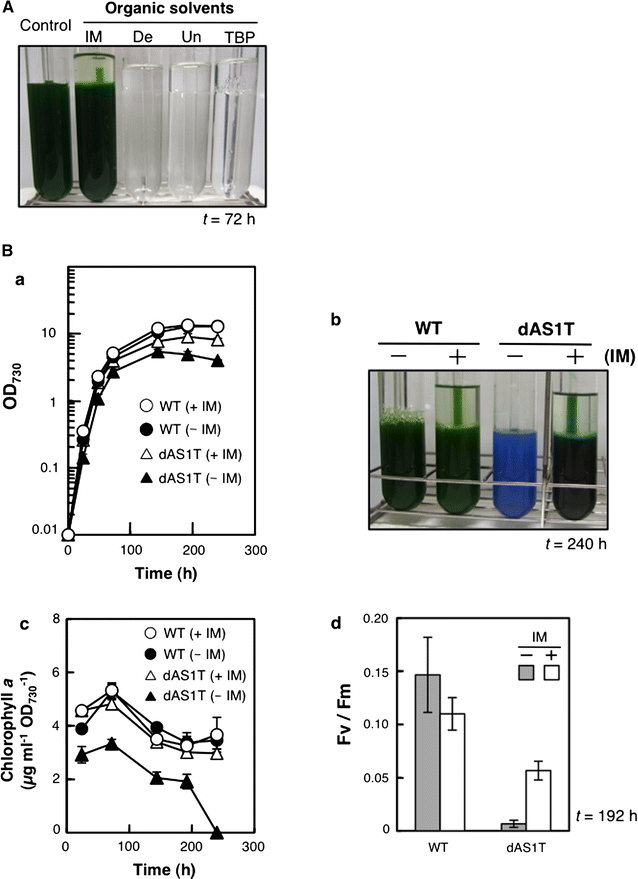 Fig. 2