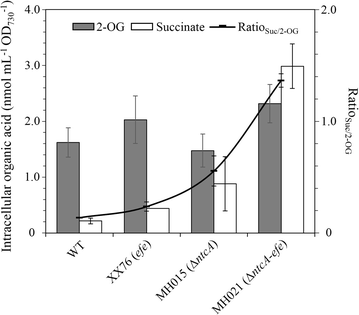 Fig. 6