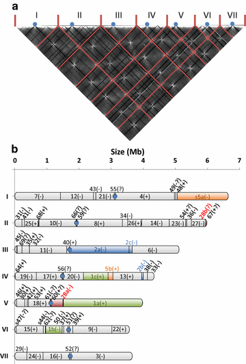 Fig. 1