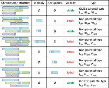 Fig. 4