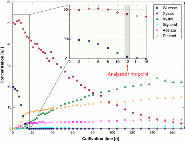 Fig. 1