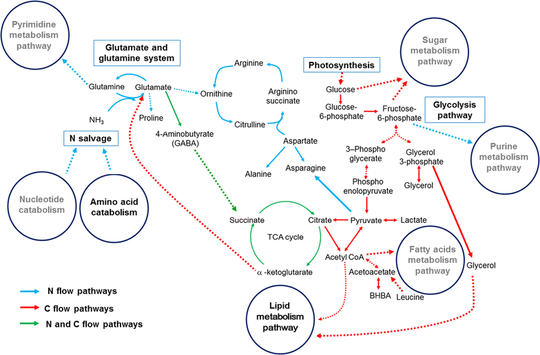 Fig. 10