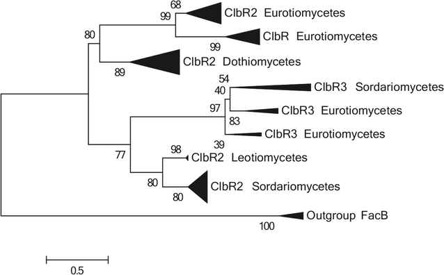 Fig. 2