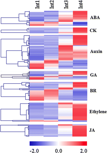 Fig. 10