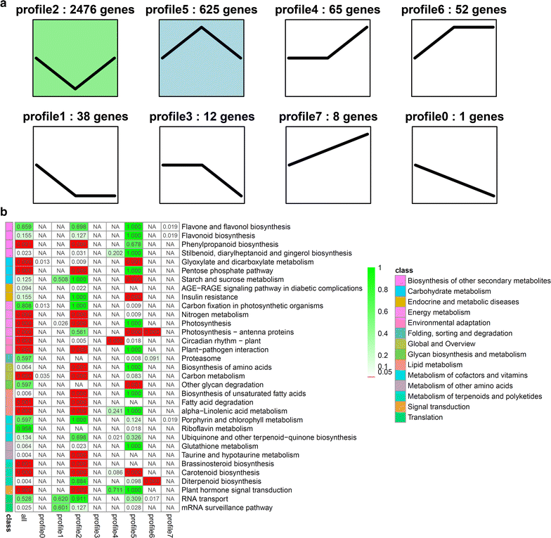 Fig. 3