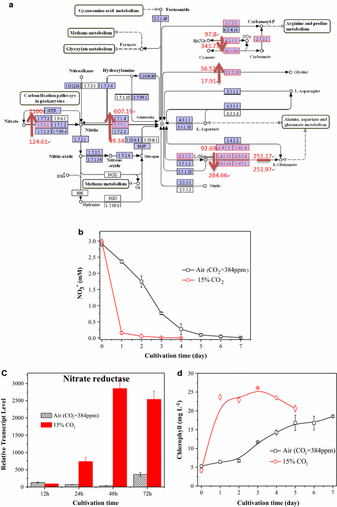 Fig. 4