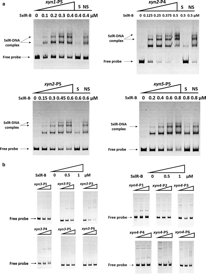 Fig. 6