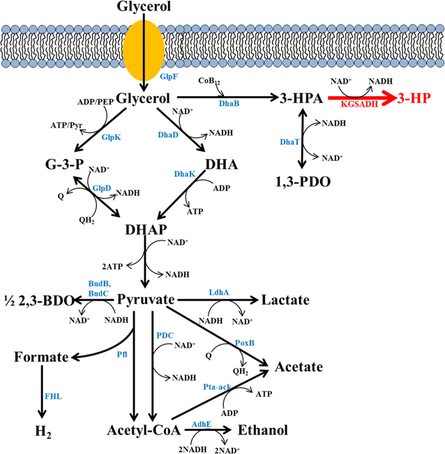 Fig. 1