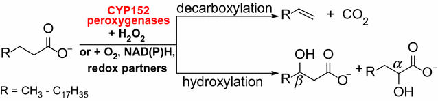 Scheme 1