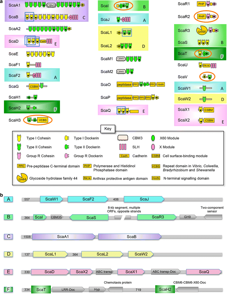 Fig. 2