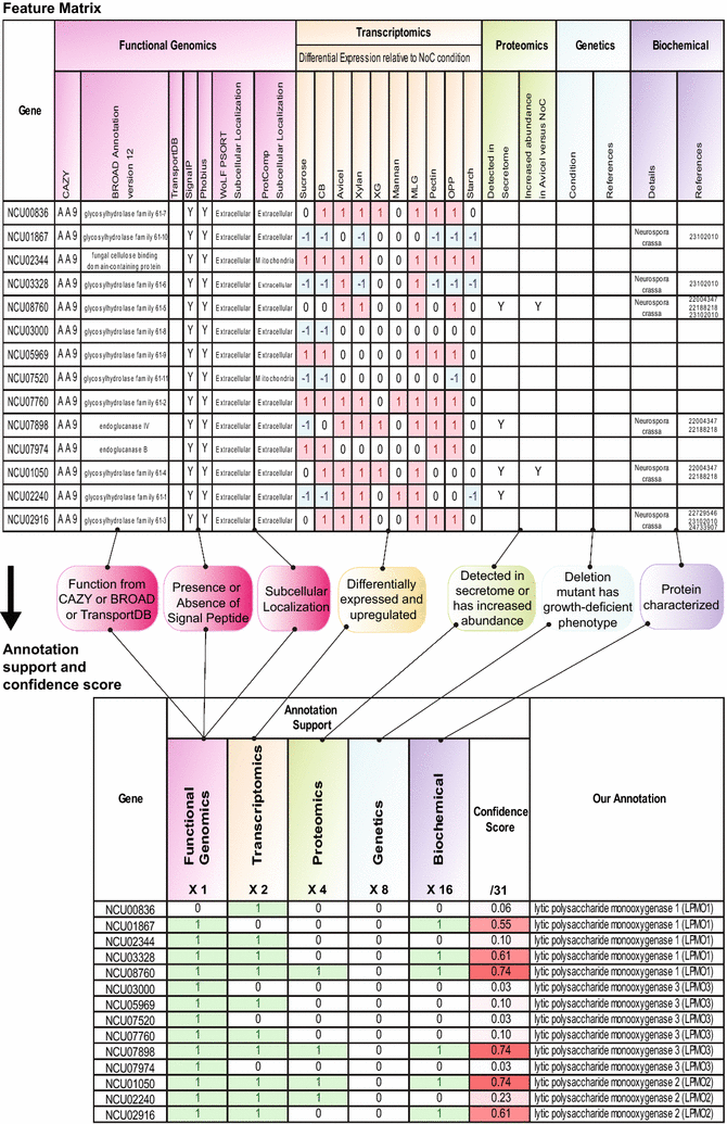 Fig. 3