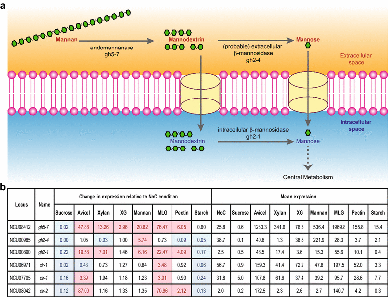 Fig. 7