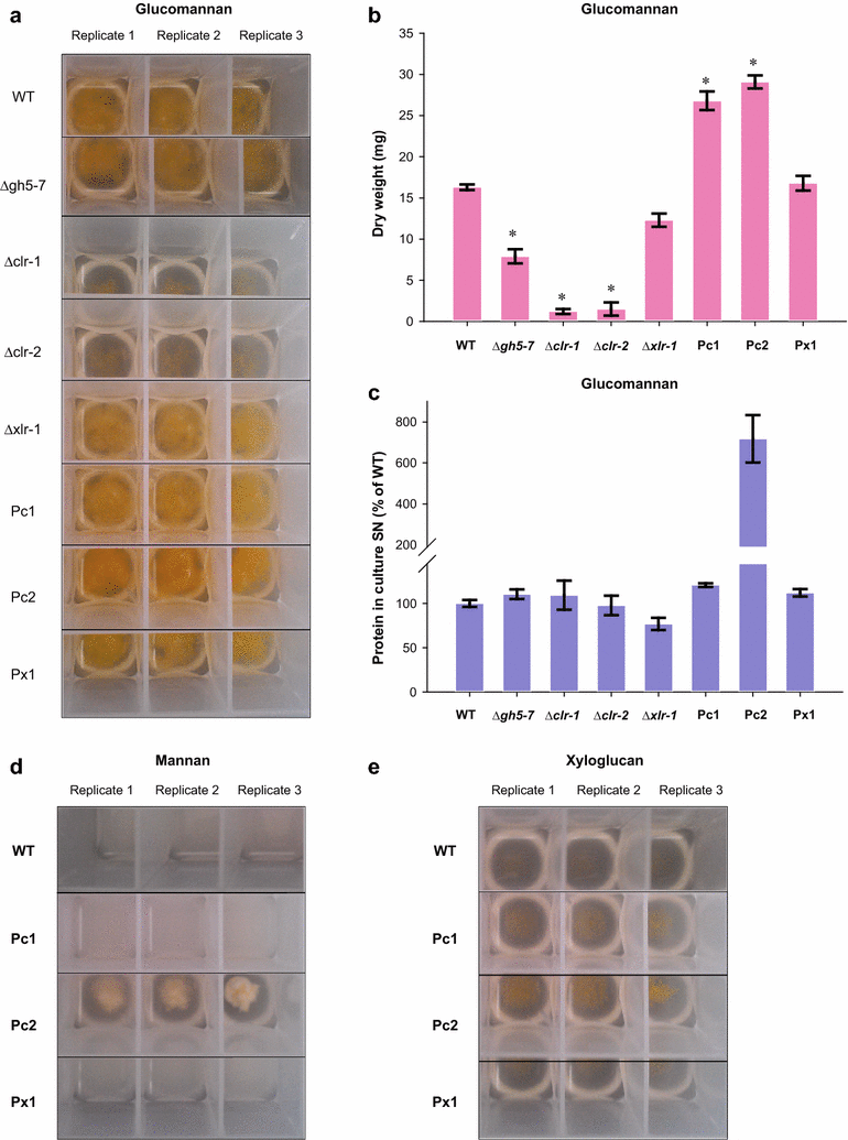 Fig. 8