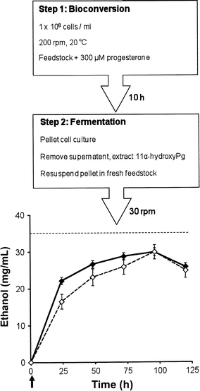 Fig. 6