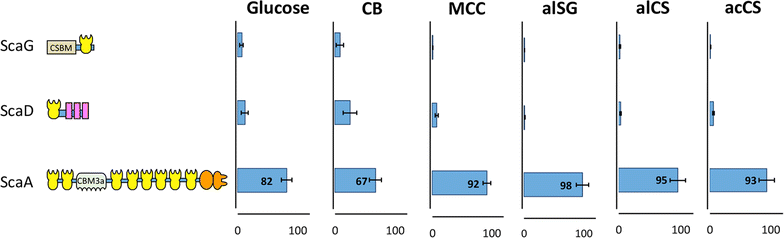 Fig. 4