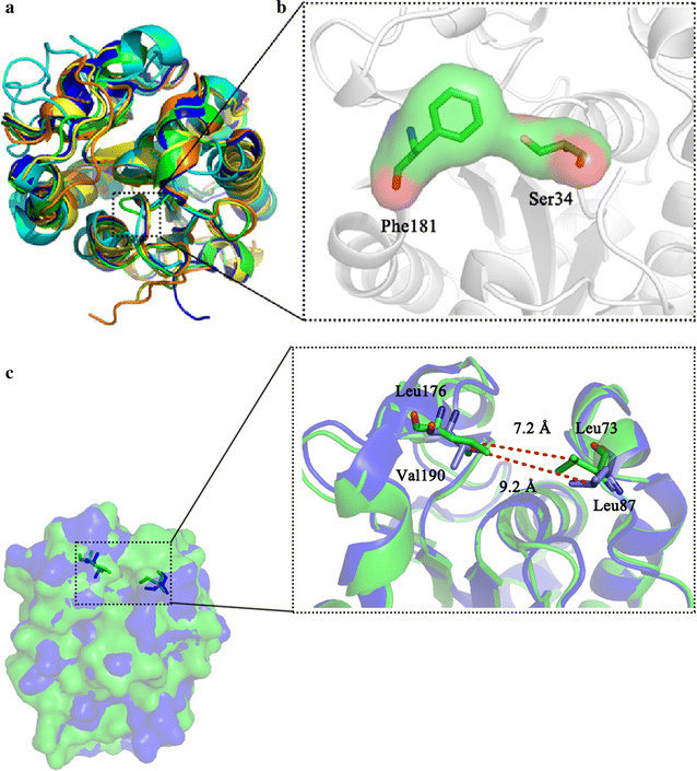 Fig. 4