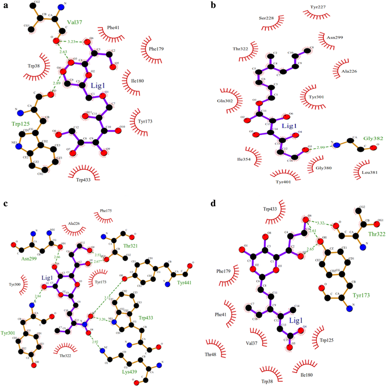 Fig. 11