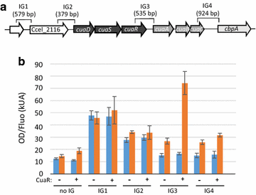 Fig. 3