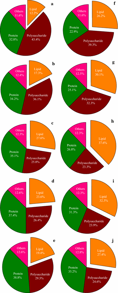 Fig. 5