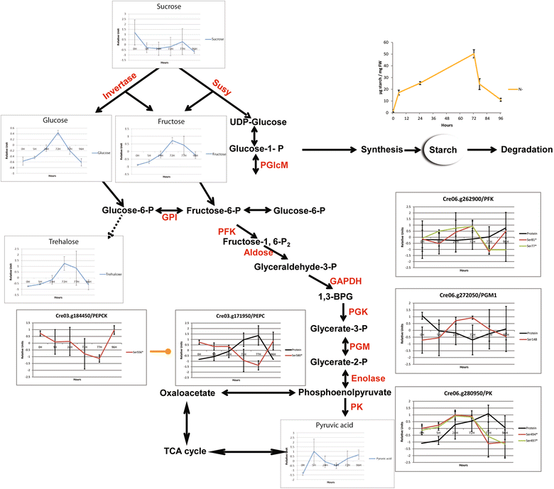 Fig. 6