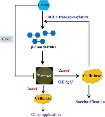 Fig. 8