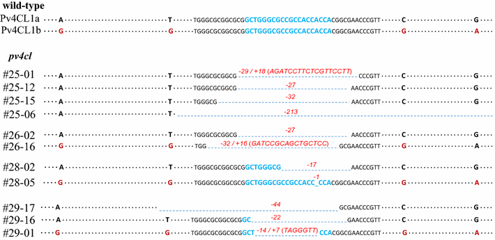 Fig. 3