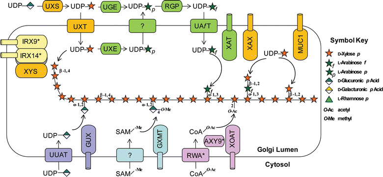 Fig. 3