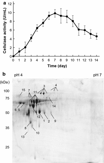 Fig. 2