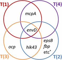 Fig. 3