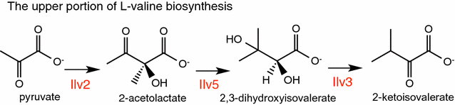 Fig. 3