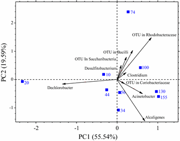 Fig. 7