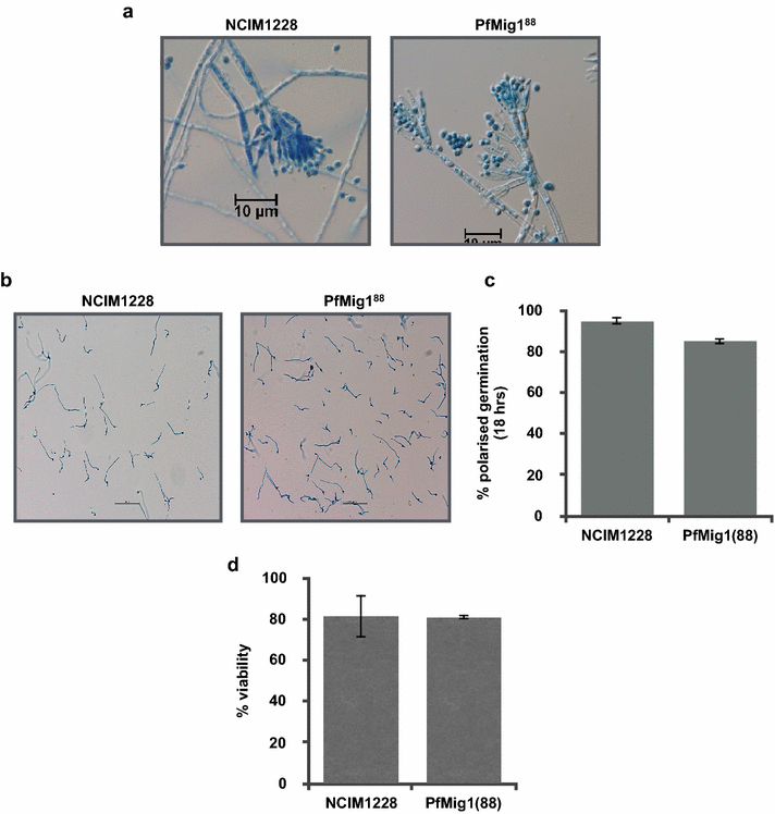 Fig. 8