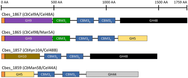 Fig. 1