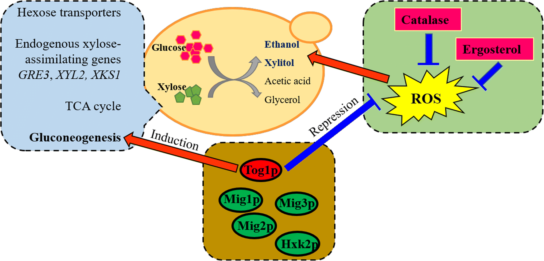 Fig. 9