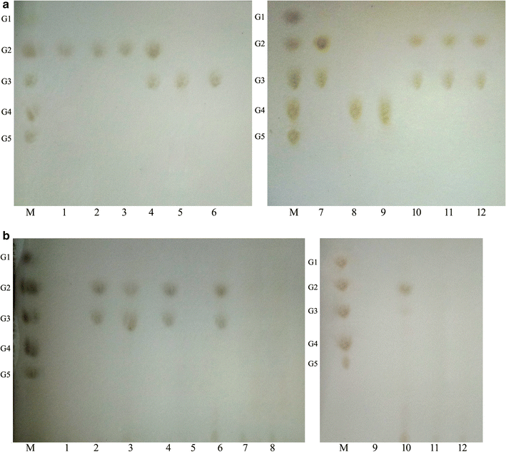 Fig. 6