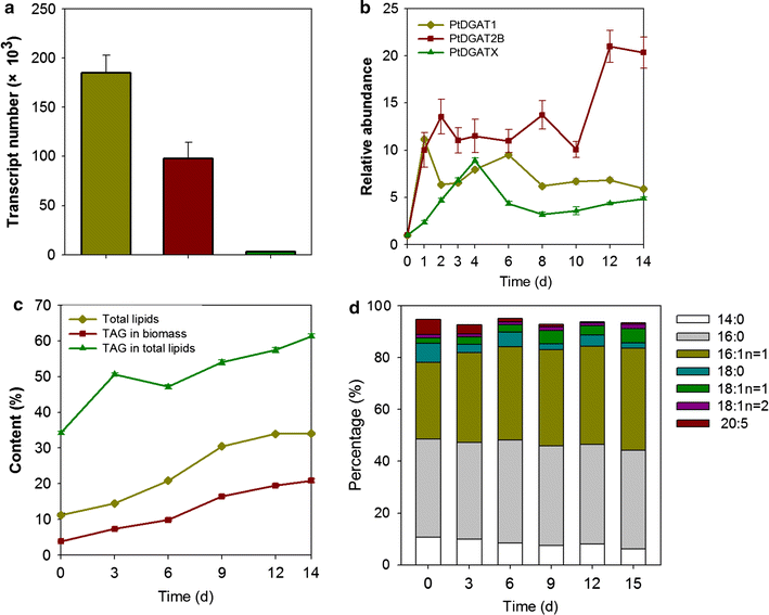 Fig. 2