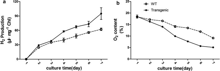 Fig. 6