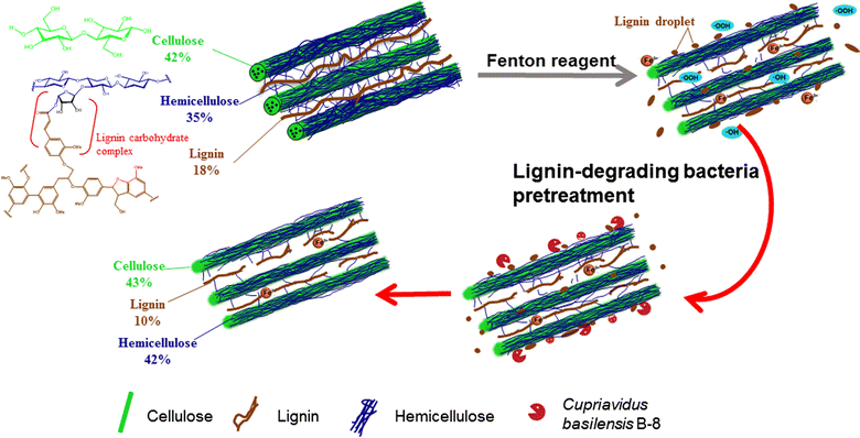 Fig. 9