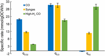 Fig. 2