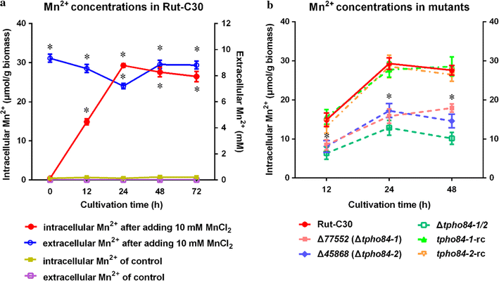 Fig. 2