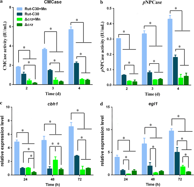 Fig. 6