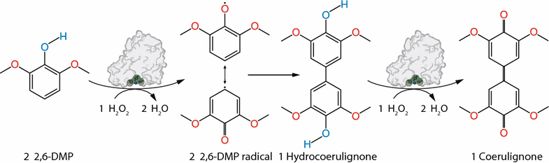 Fig. 1