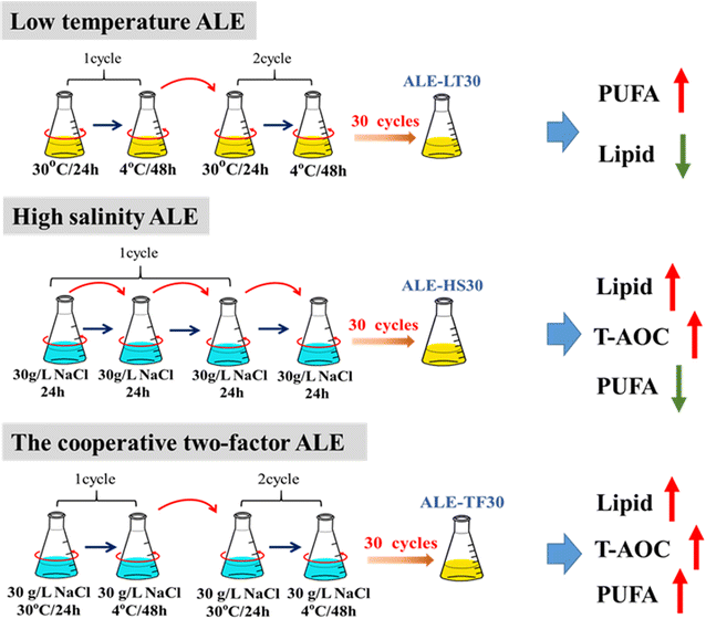 Fig. 7