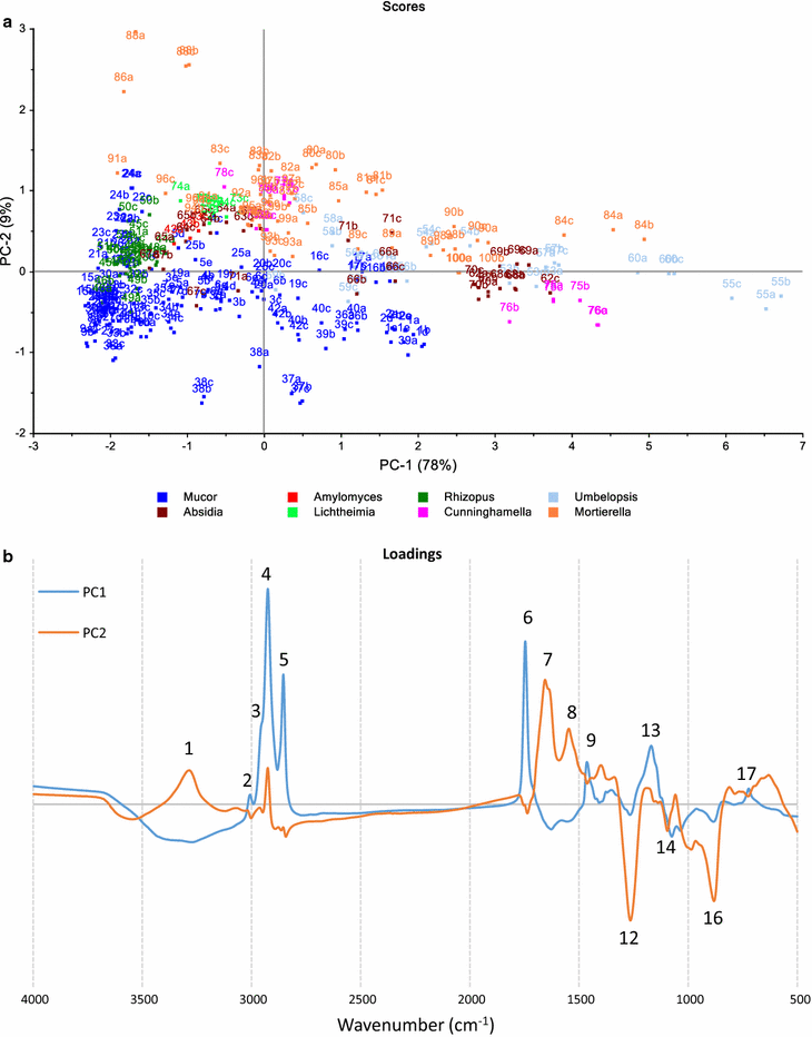 Fig. 9