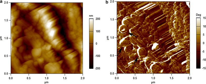 Fig. 4