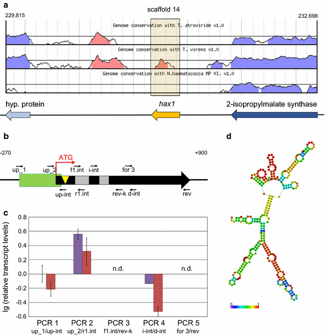 Fig. 2