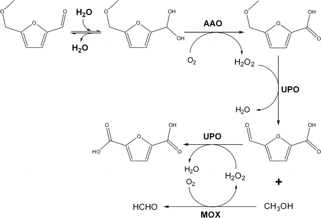 Fig. 4