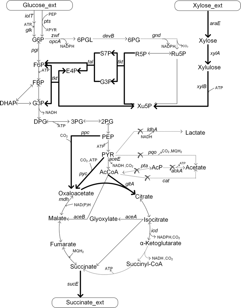 Fig. 1