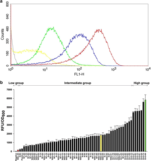 Fig. 2